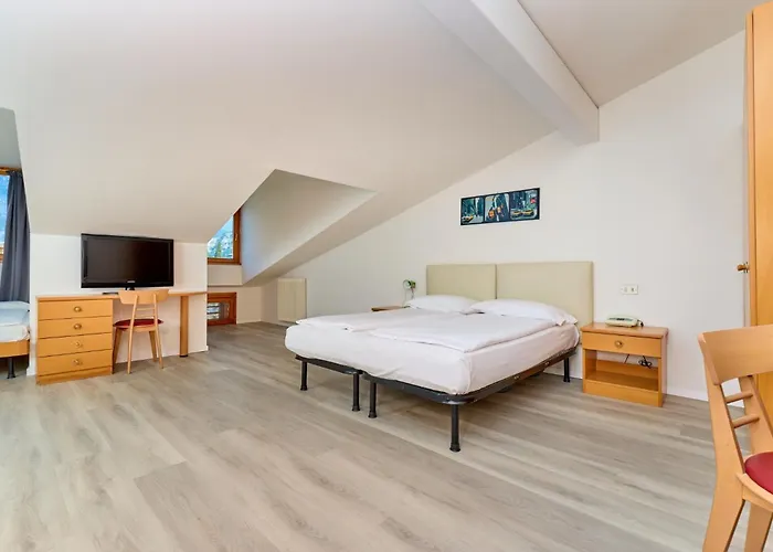 Hotel Geier